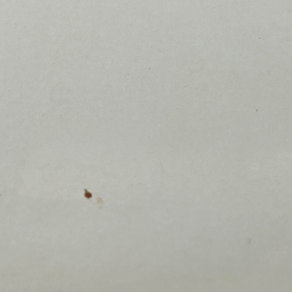 The Tale of Peter Rabbit Vintage Book Beatrix Potter Spanish Edition - Picture 13 of 14